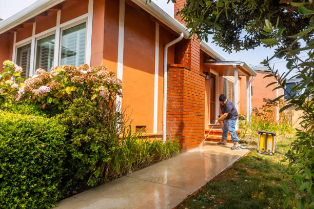 Fence Pressure Washing